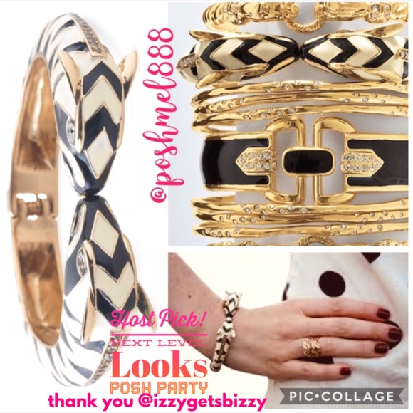 ::Stella & Dot⚜️🦓ExoticallyFun Kalahari Bracelet - Picture 3 of 10